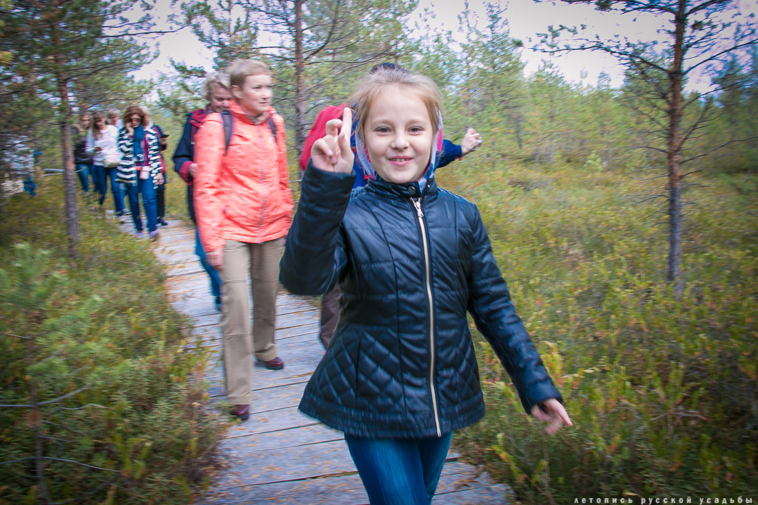Экоэлектричка на родину журавлей в г. Талдом.