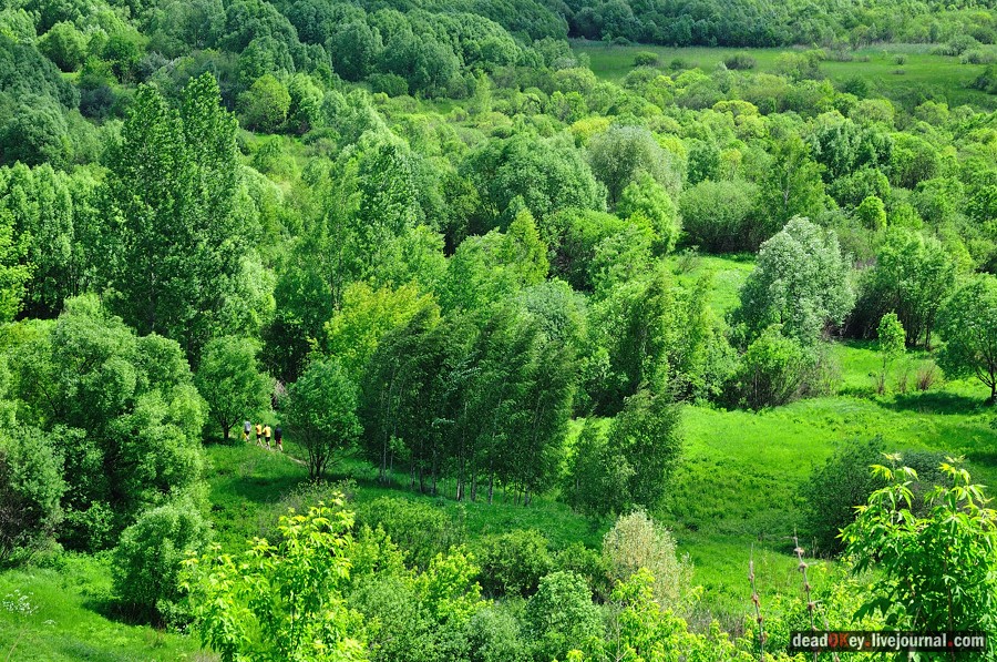 усадьба Братцево