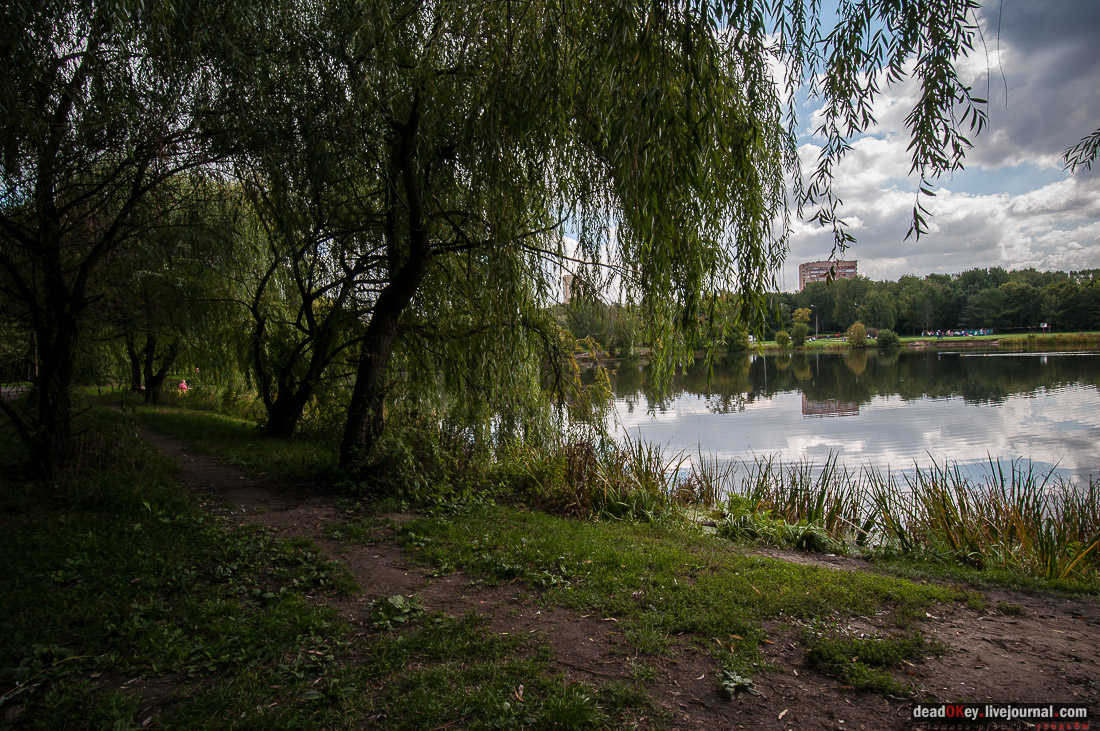 усадьба Покровское-Стрешнево, день города 2014, фотовыставка