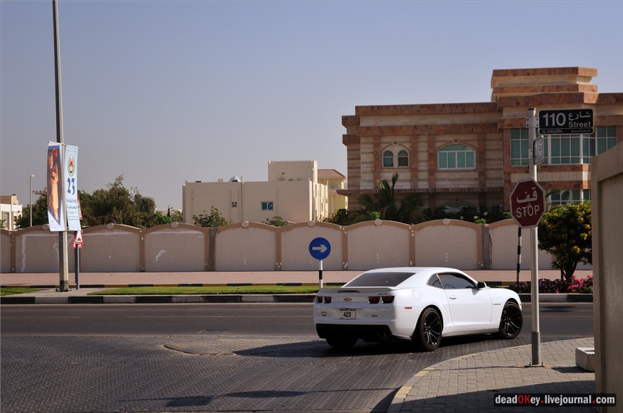 ОАЭ. Машины в Эмиратах