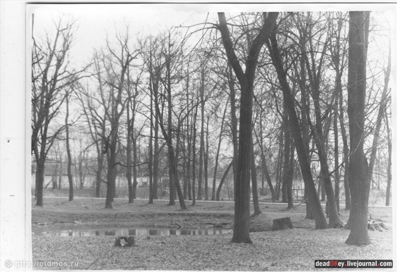 усадьба Грачевка (Ховрино)