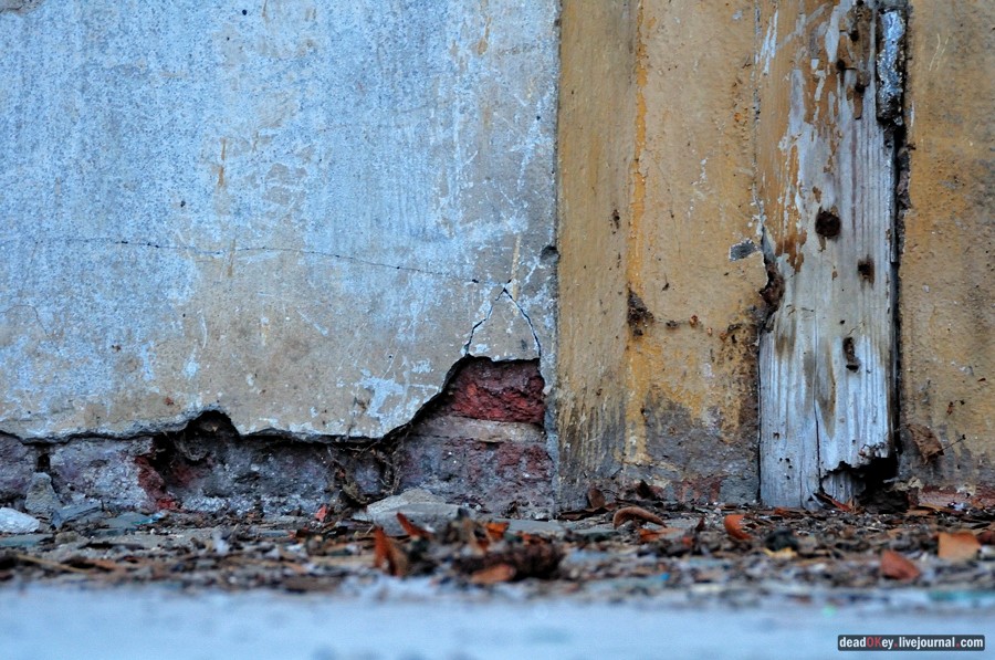 усадьба Медное-Власово