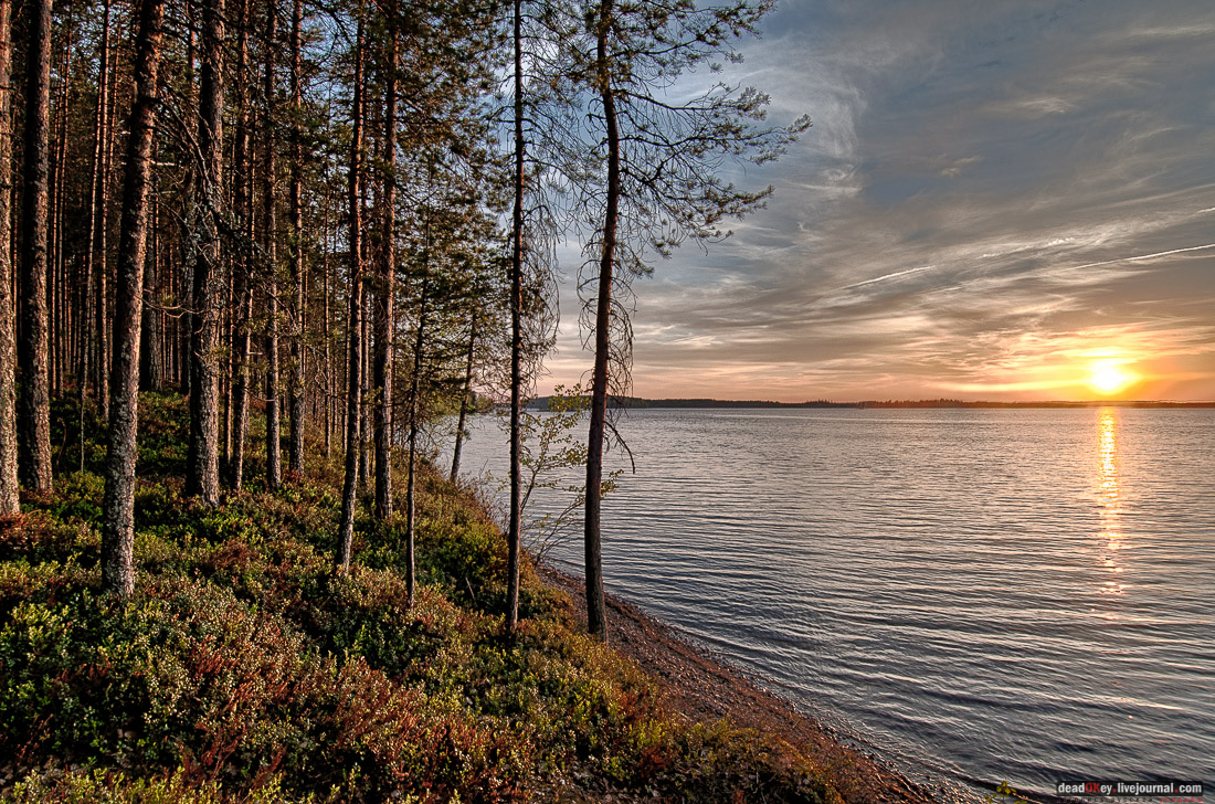 Россия, Карелия, Кондопожский район, Вендеры, Сяпчозеро, Спасская Губа