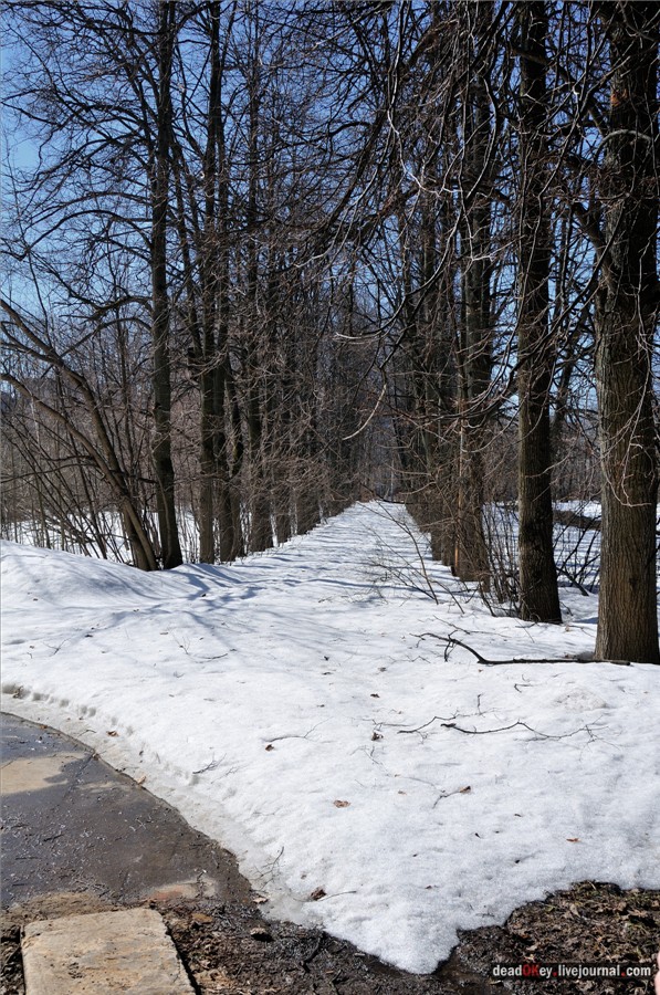 усадьба Узкое