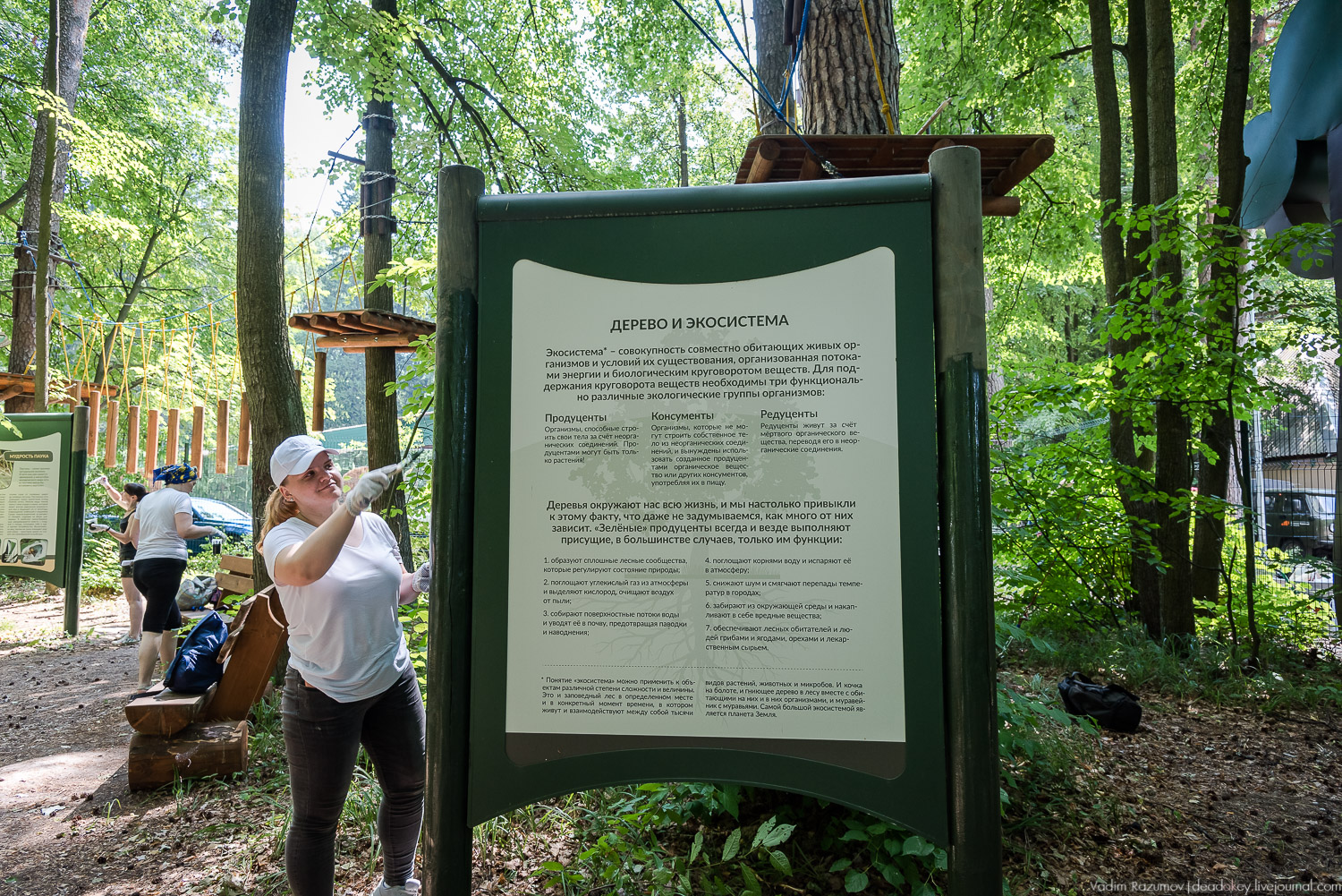 Экоэлектричка. Волонтерский поезд к зубрам в Приокский террасный заповедник