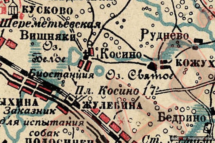 усадьба Косино