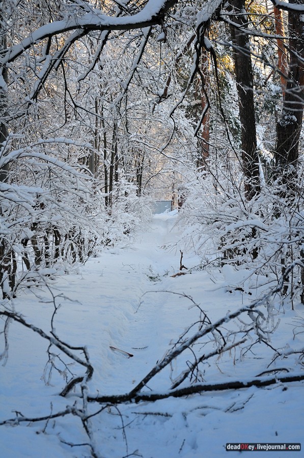 усадьба Полушкино