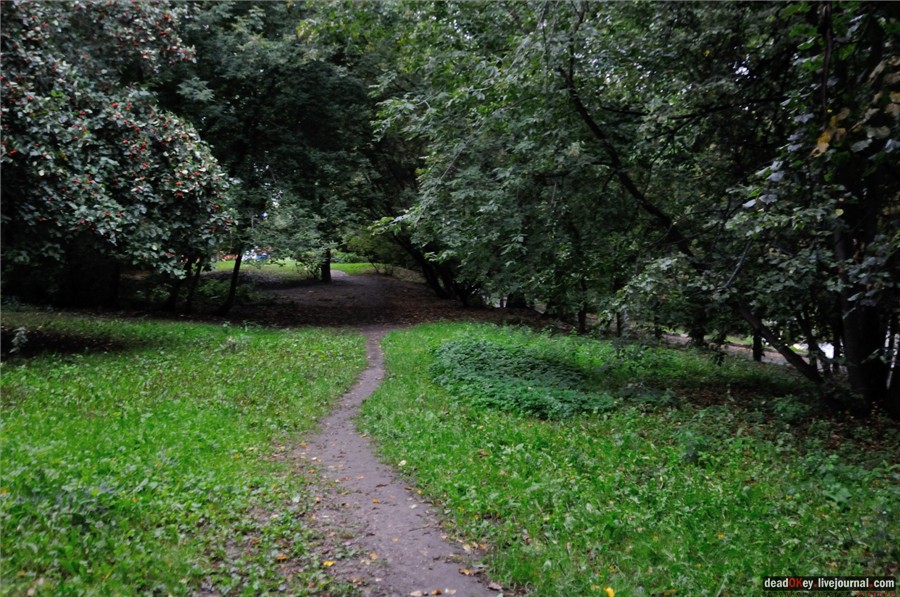 усадьба Строганова Дача