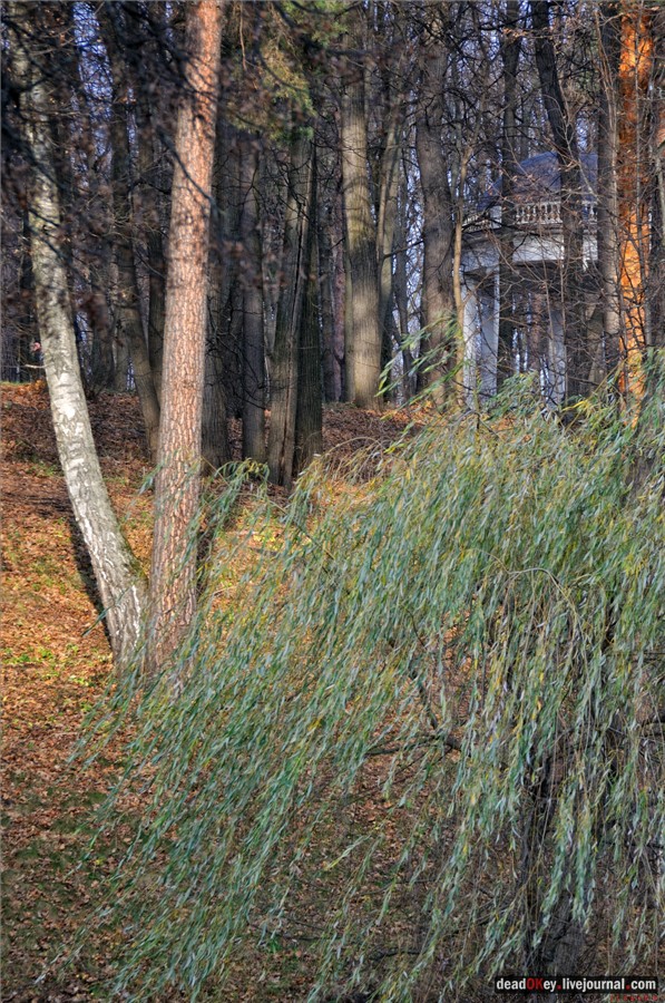 усадьба Царицыно