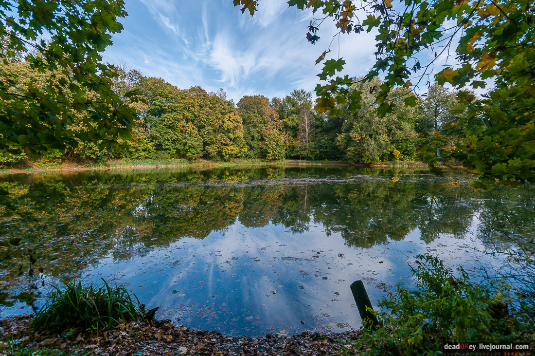 усадьба Быково. Субботник в усадьбе 7 ноября 2015 года