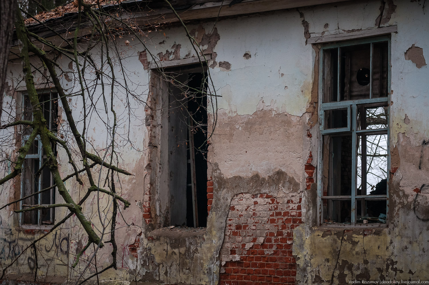 усадьба Троекурово, Липецкая область, Лебедянский район