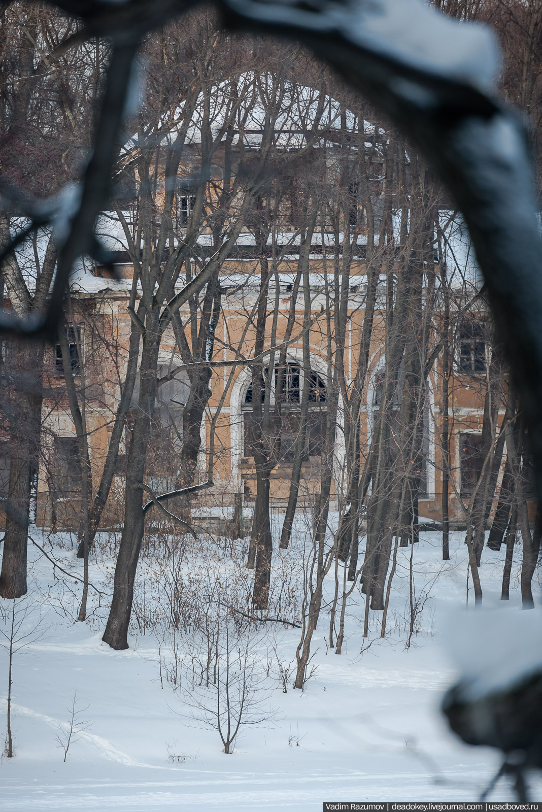 Усадьба Кузьминки, Москва, январь 2019 года