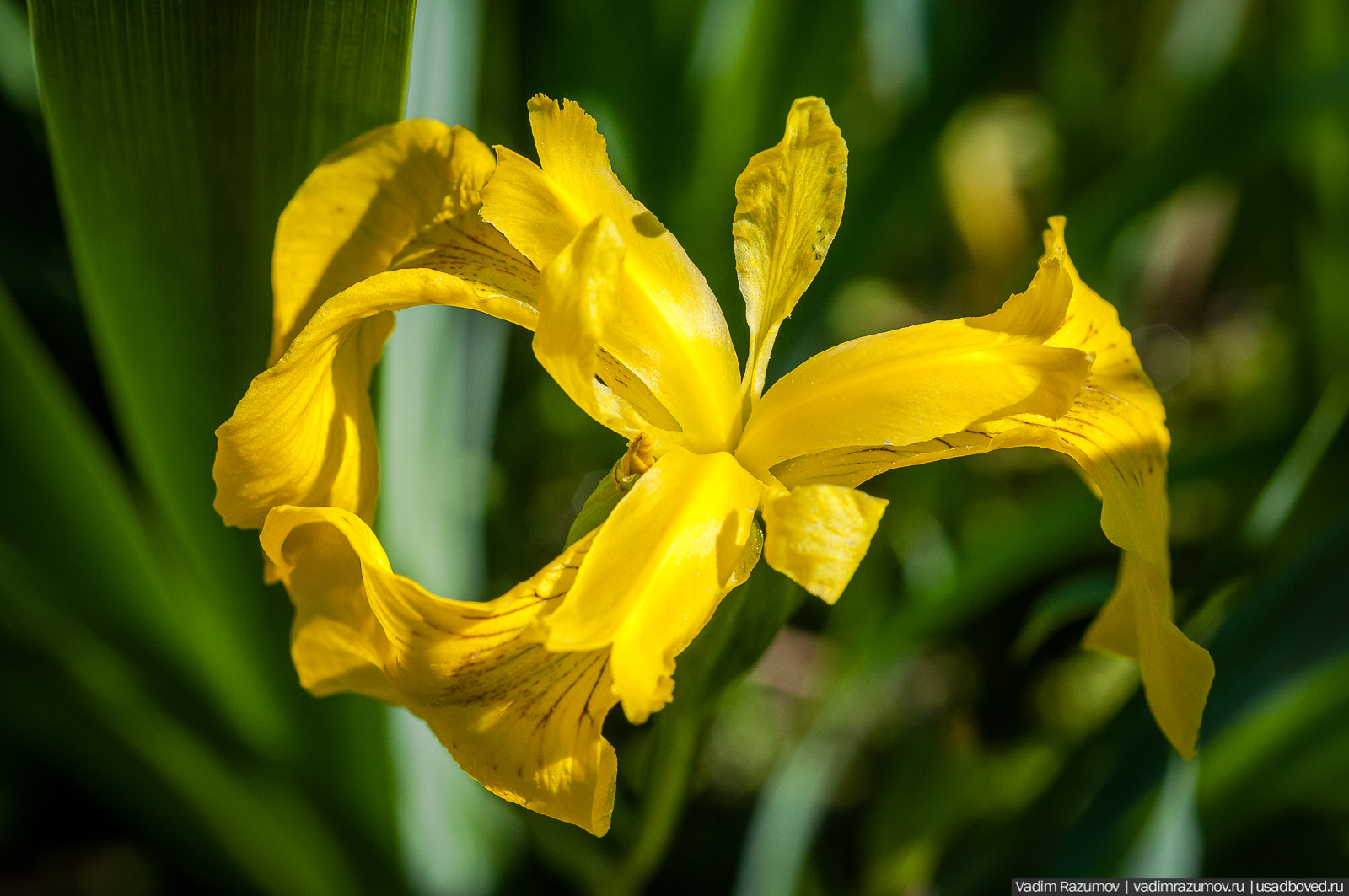 усадьба Дворяниново, Андрей Тимофеевич Болотов, Тульская область