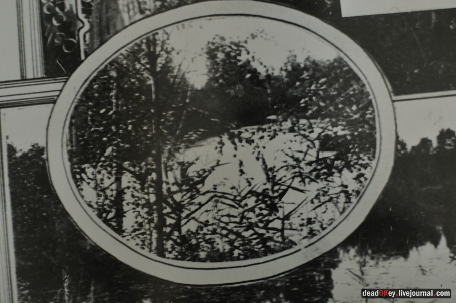 усадьба Косино