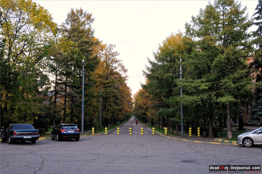 усадьба Петровское-Разумовское