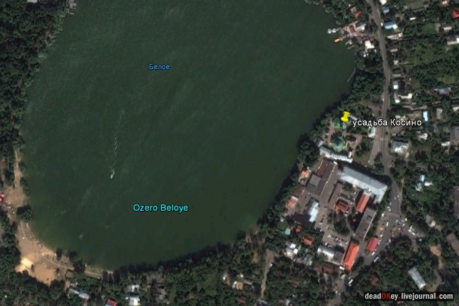 усадьба Косино
