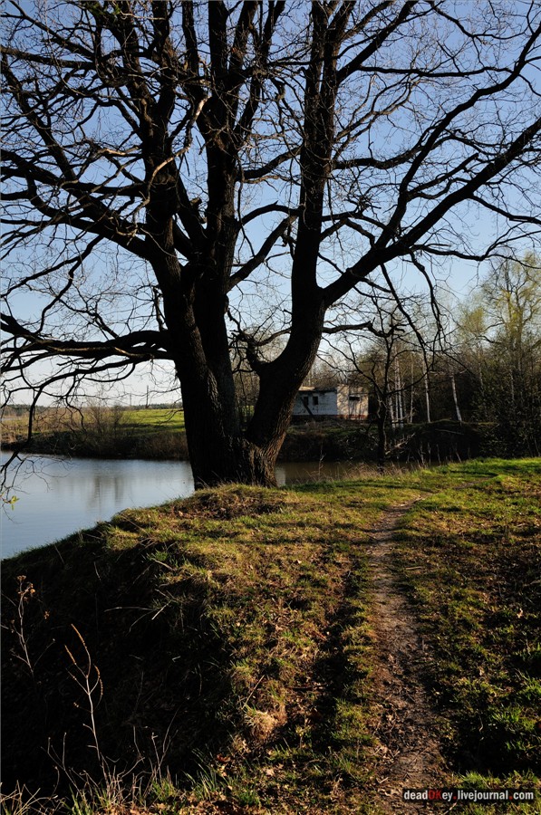 усадьба Черкутино