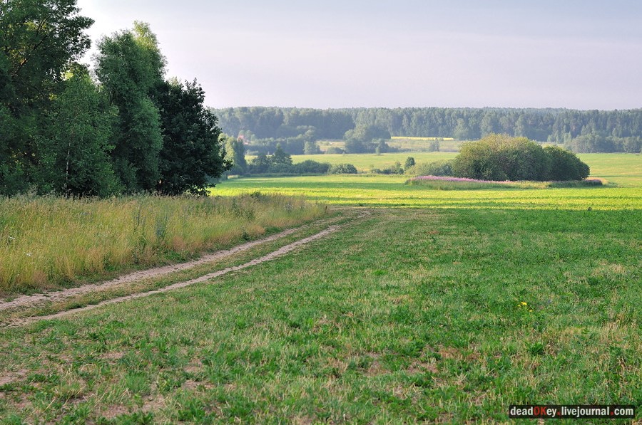 усадьба Клины