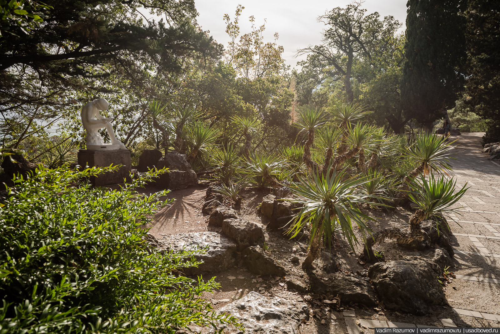 Никитский ботанический сад