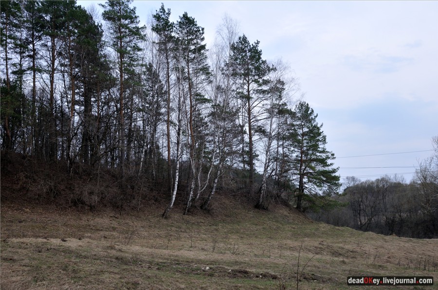 усадьба Городня
