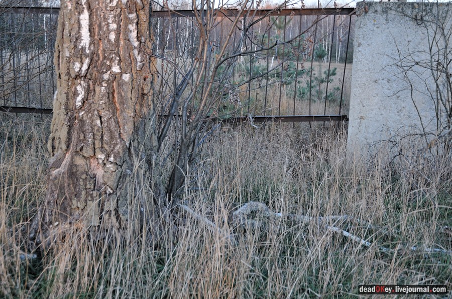 усадьба Ивановское