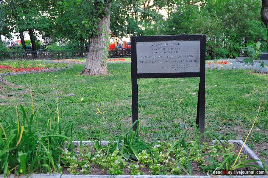 ул. Поварская д.17-19 усадьба капитана Федора Ржевского