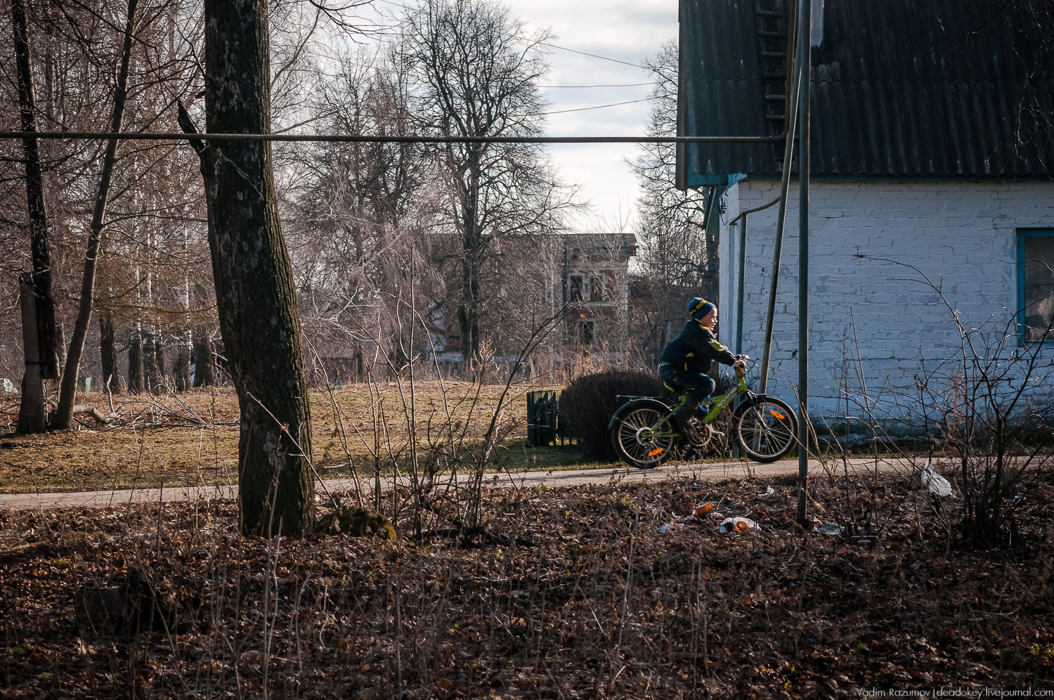 усадьба Соха