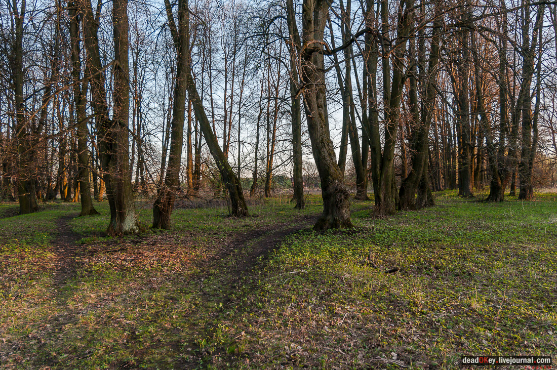 Усадьба Стародуб