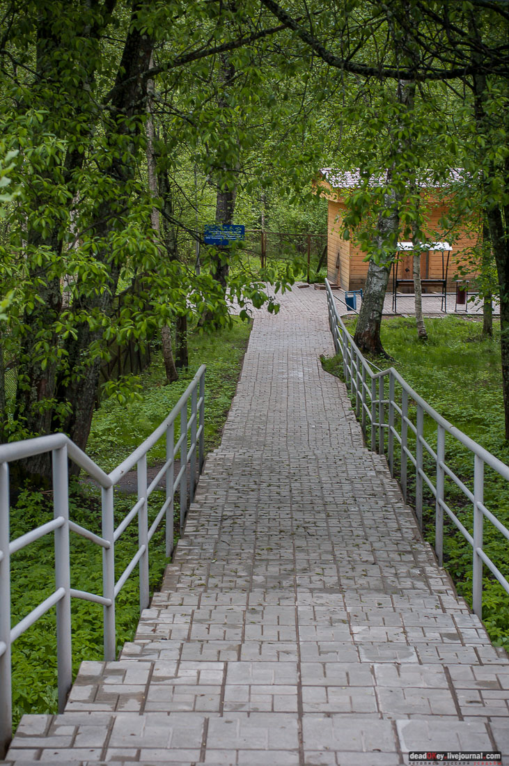 Марицальные воды, Республика Карелия, Кондопожский район