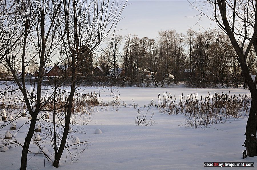 усадьба Осеченки