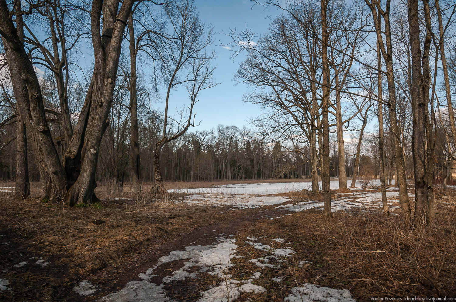 Ропша, Ропшинский дворец, Ленинградская область