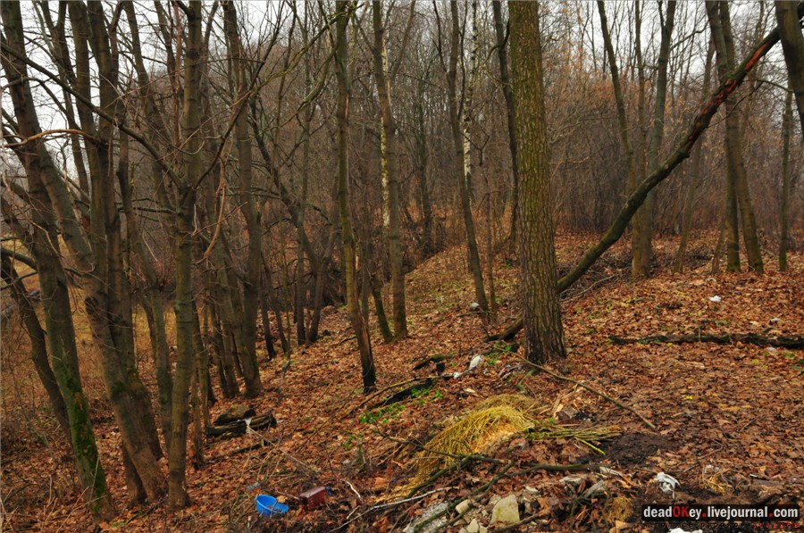 усадьба Никольское-Тимонино