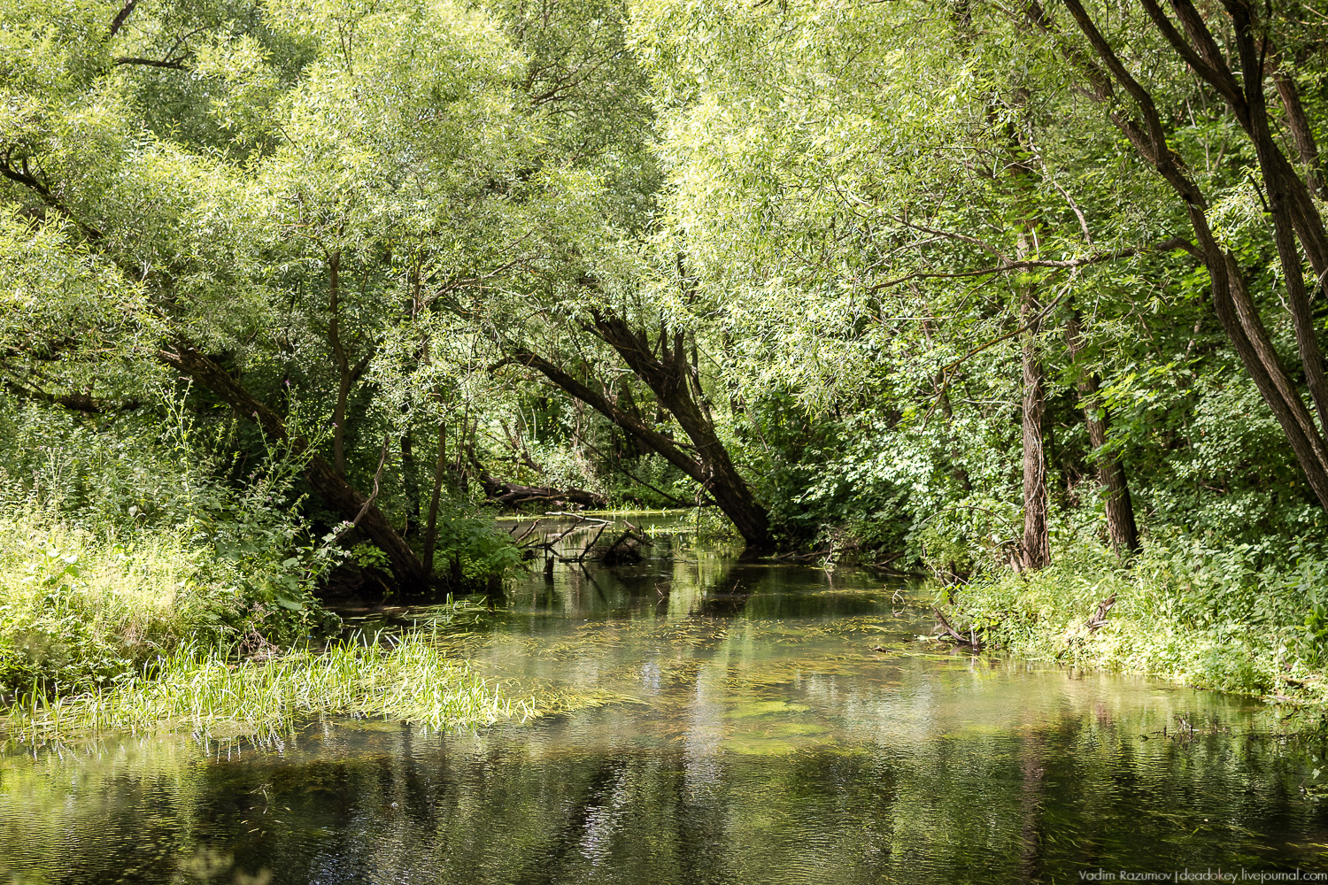 Гремячка, Рязанка, Урусово - тропа Семенова-Тян-Шанского