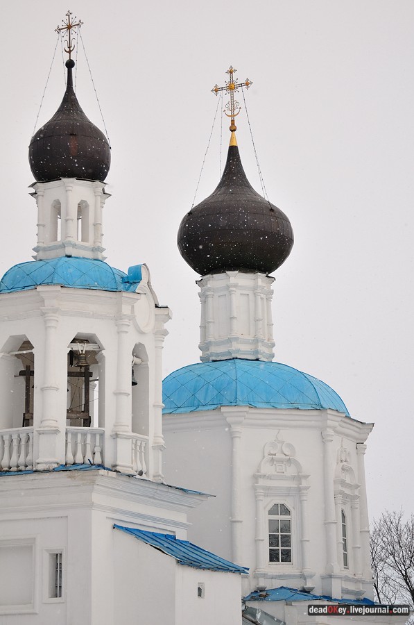 усадьба Кривцы