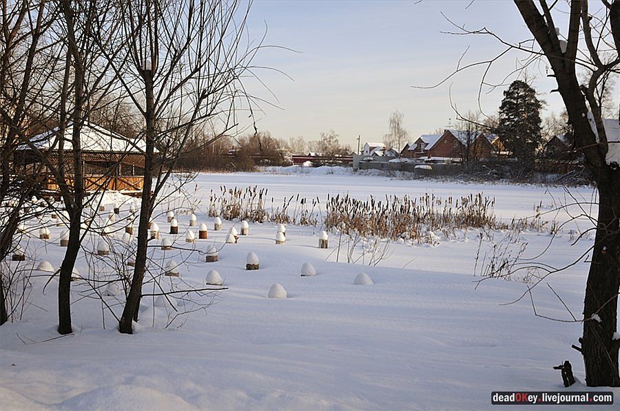 усадьба Осеченки