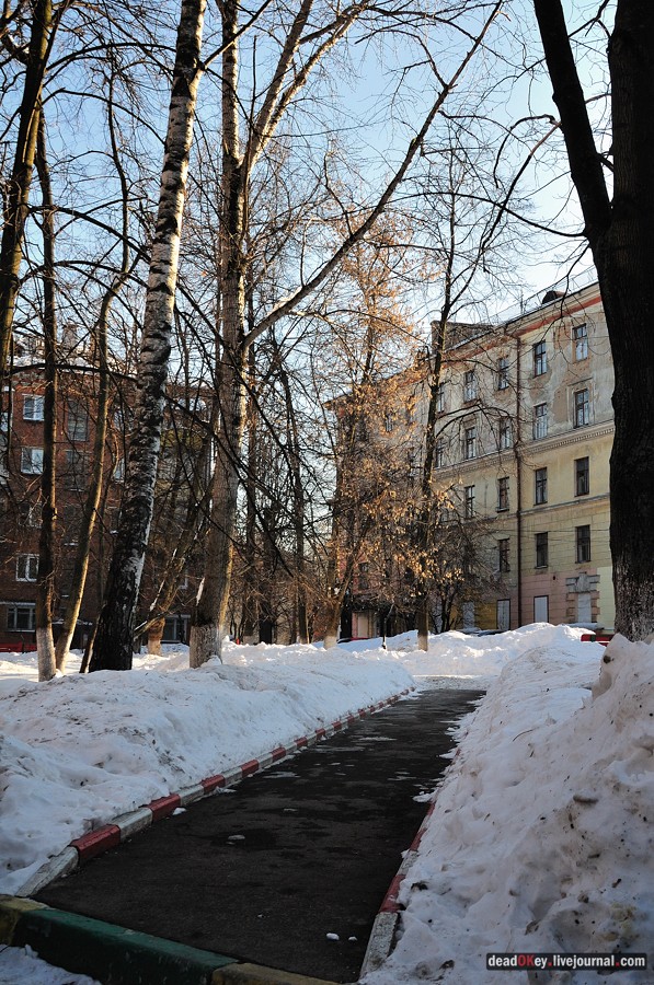 усадьба Петровское-Лобаново