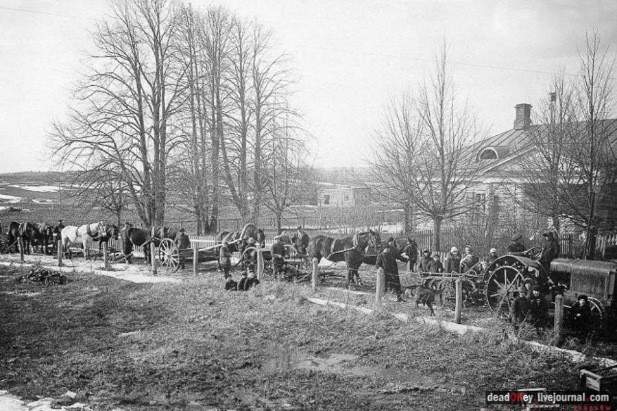 усадьба Виноградово