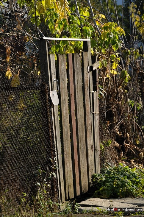 усадьба Беседы