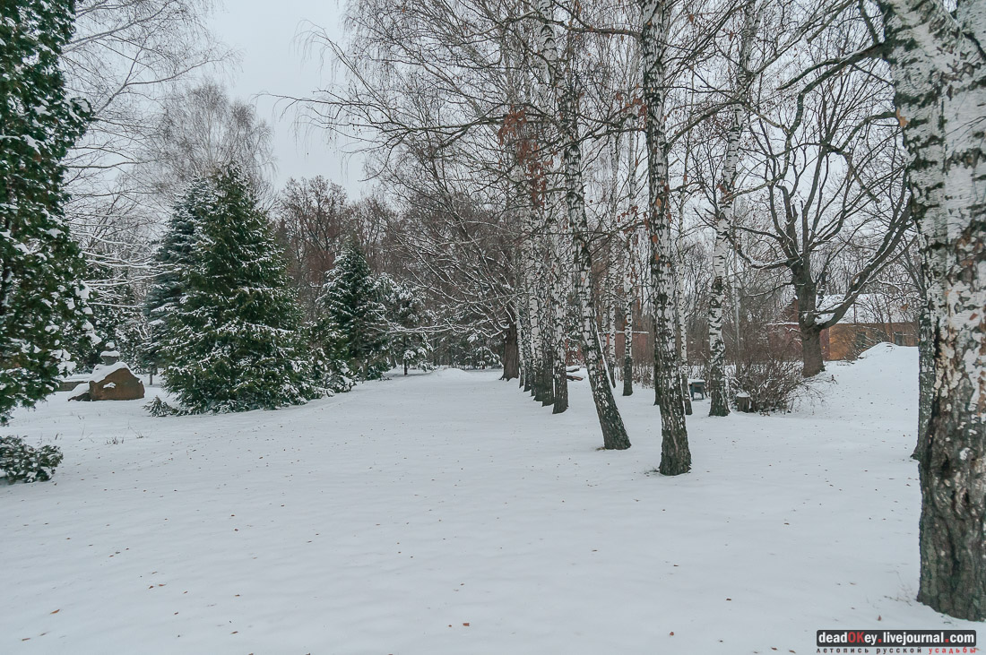 усадьба Рязанка