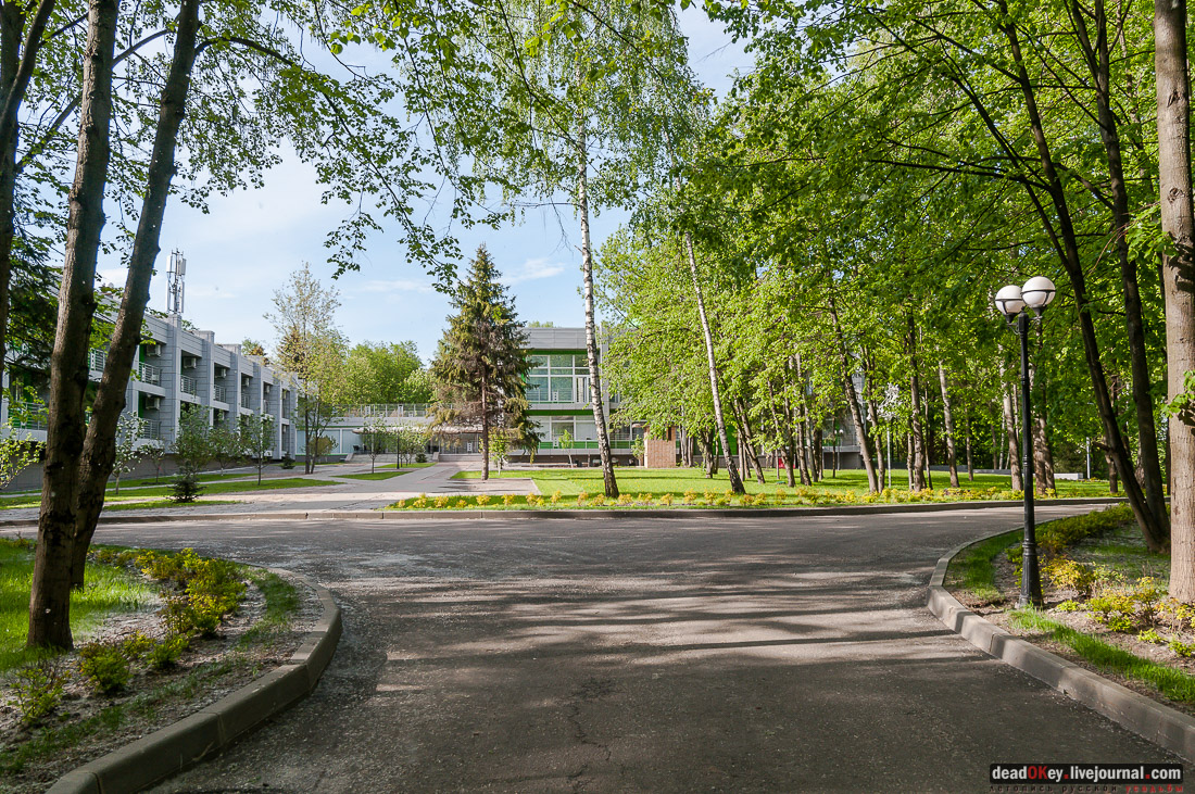 усадьба Мамоново, Сколково, Гусева полоса