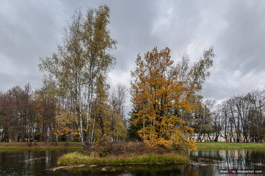 Усадьба Покровское-Рубцово
