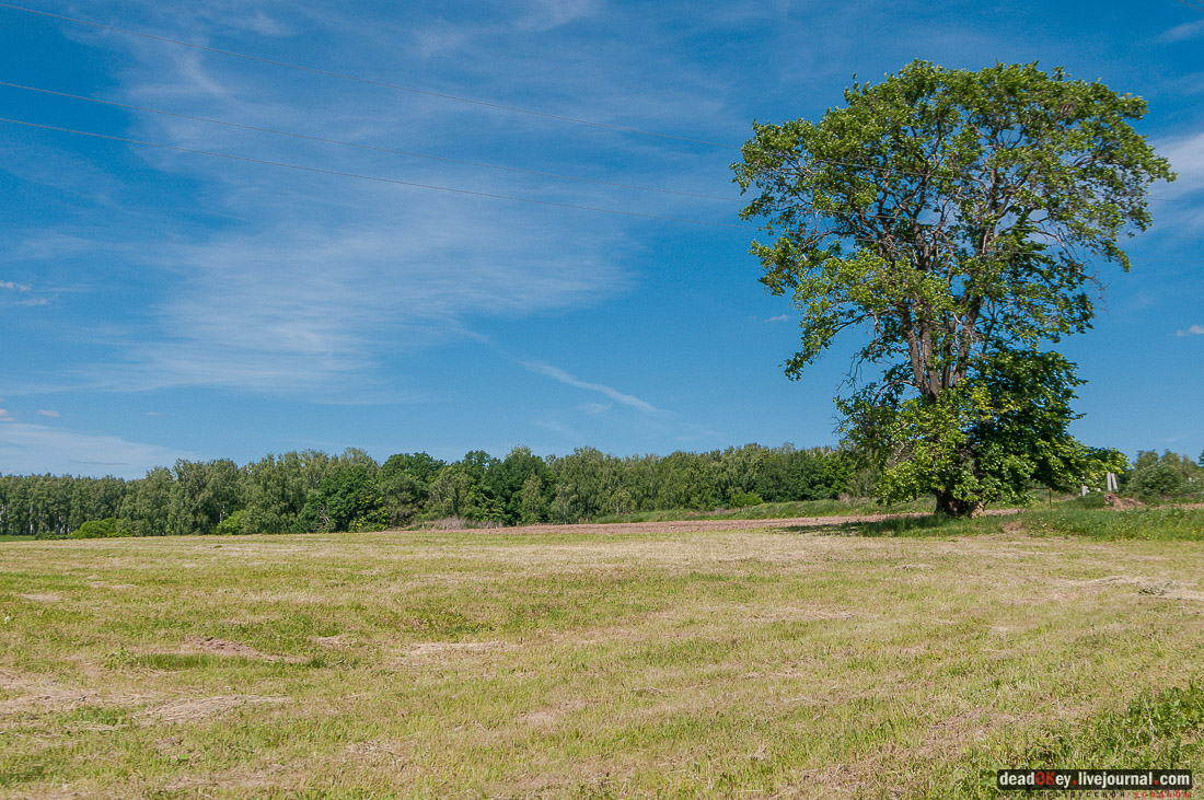 усадьба Мещерино