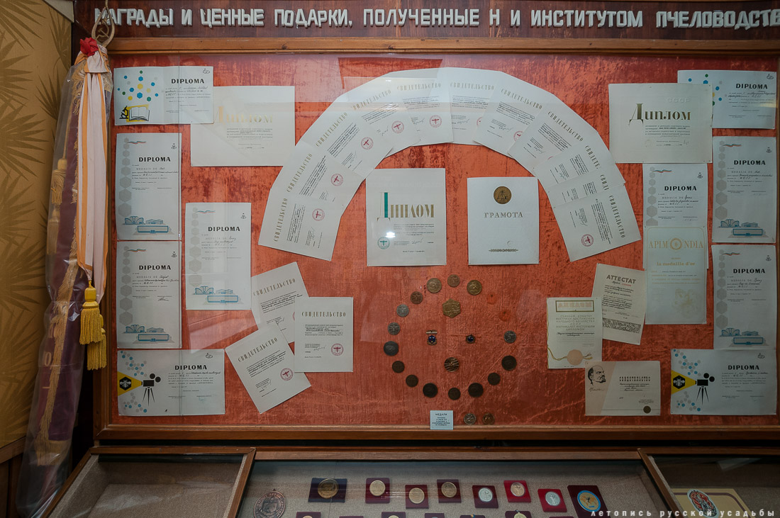 Усадебный экспресс в Константиново