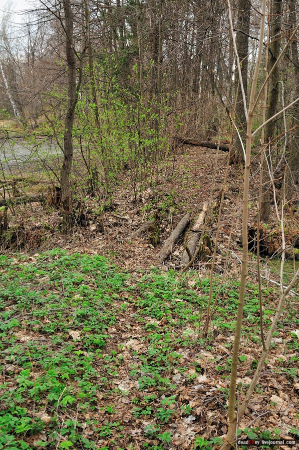 усадьба Антипино