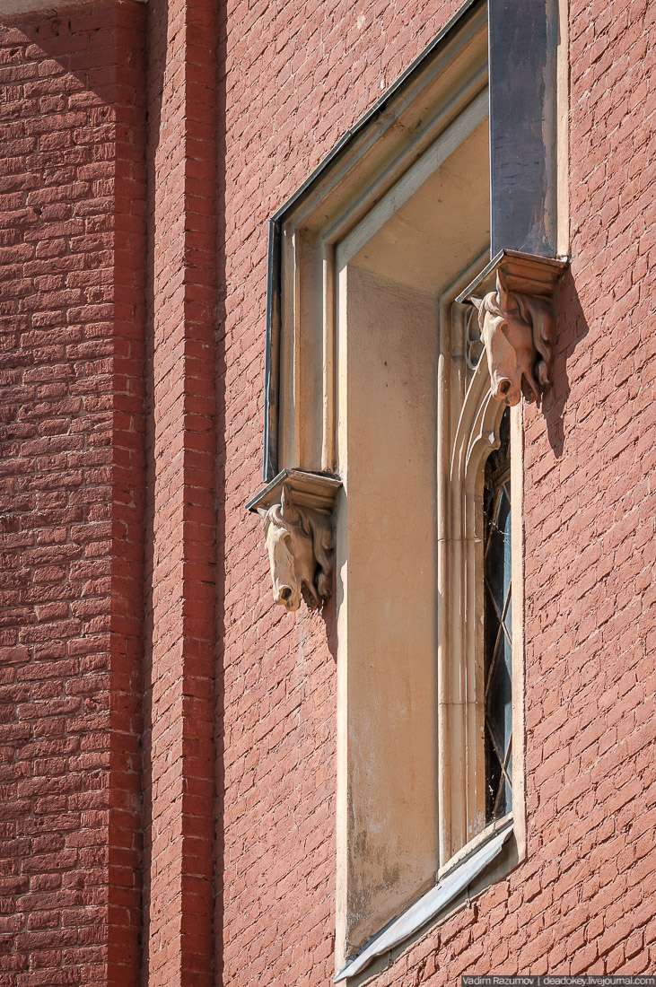 Петергофские конюшни