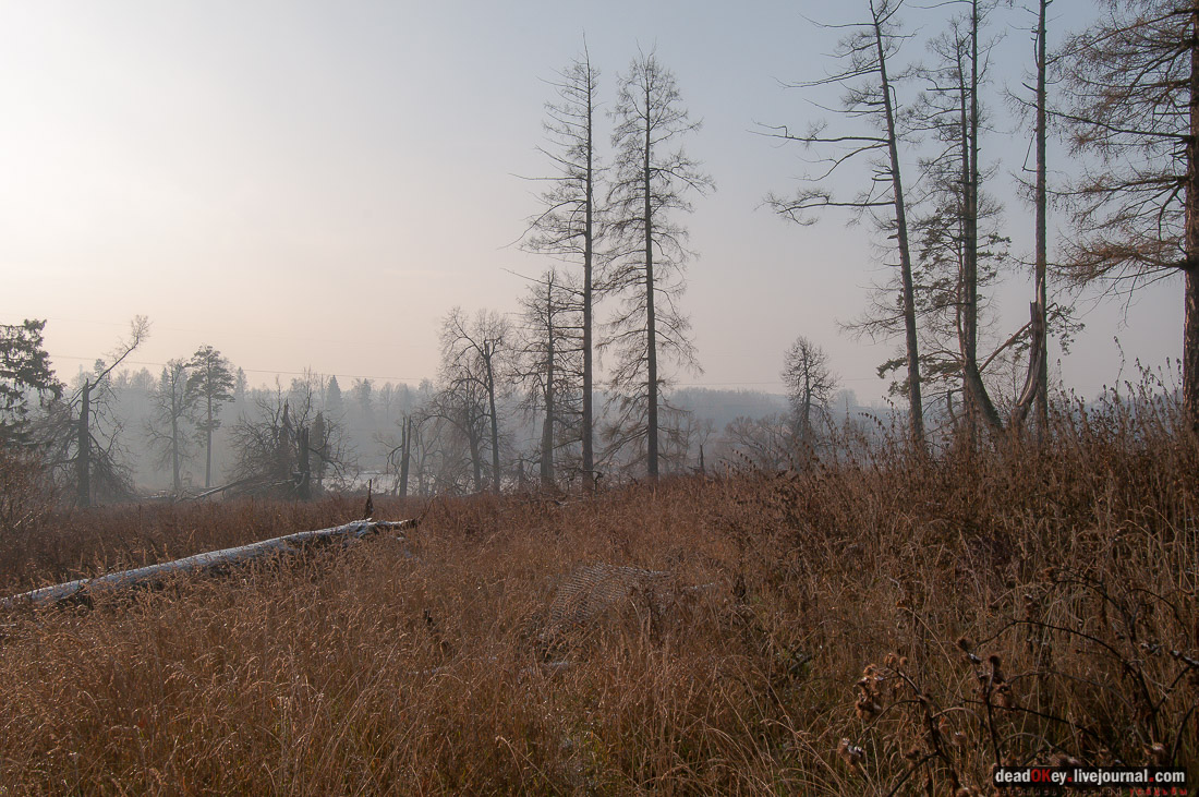 Усадьба Глебово-Брусилово