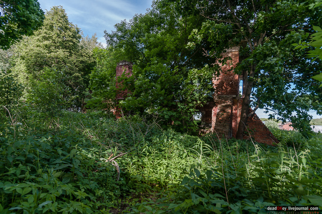 усадьба Ляхово, аукцион рубль за метр. Программа рубль за метр в Московской области