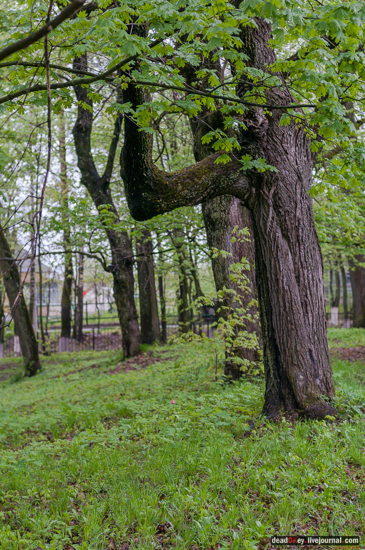 усадьба Фряново