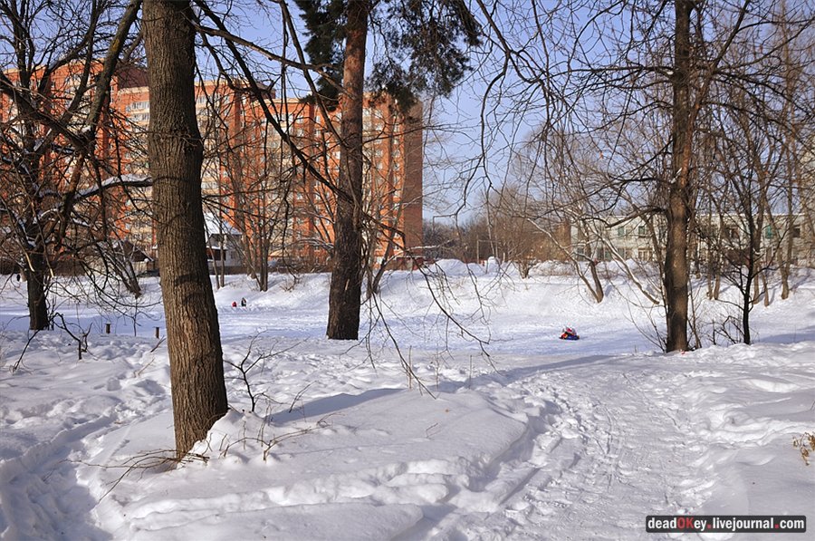 усадьба Коренево