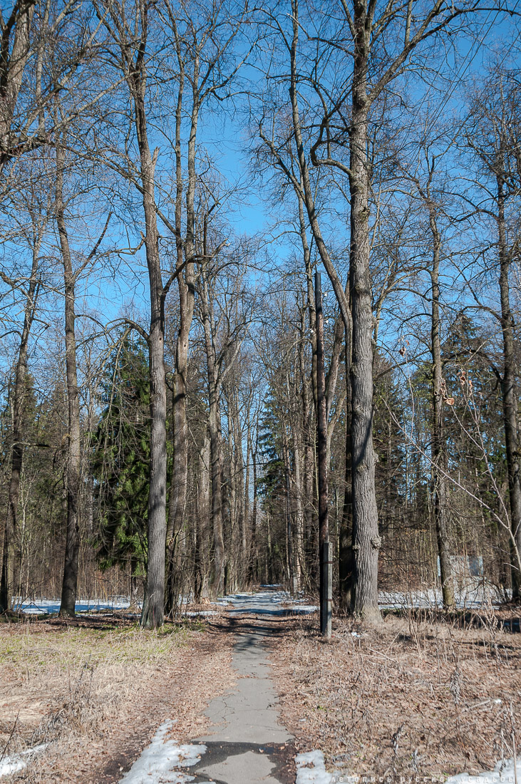 усадьба Доброе